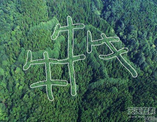 成都惊现神秘“犇”字形图案，或是先人留迹？-成都图标logo