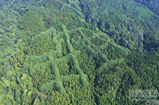 成都惊现神秘“犇”字形图案，或是先人留迹？-成都图标logo