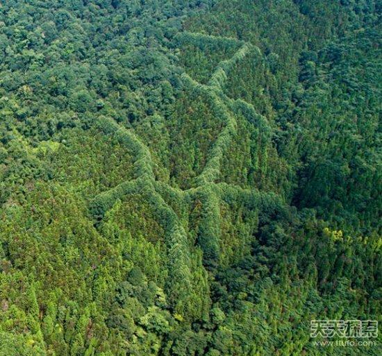 成都惊现神秘“犇”字形图案，或是先人留迹？-成都图标logo