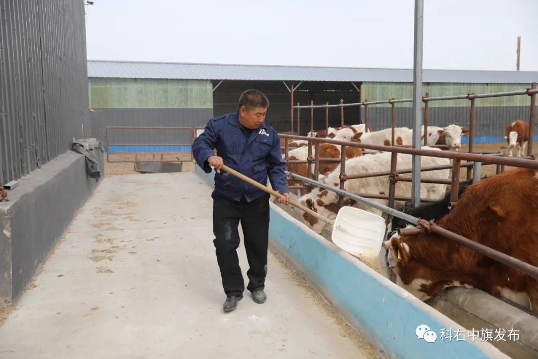 科右中旗：良种带来好收益 农牧民致富有“犇”头-科右中旗农牧和科技局领导班子成员