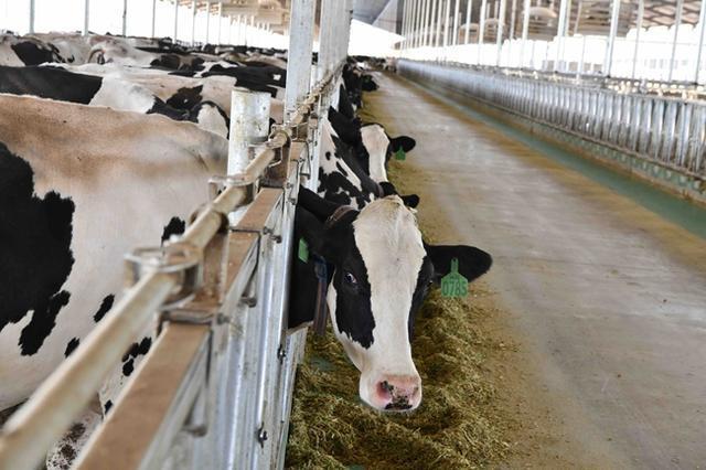 「稳经济·谋发展」武威：“百亿级”产业链已起航加速“犇”向新征程-武威的重点企业