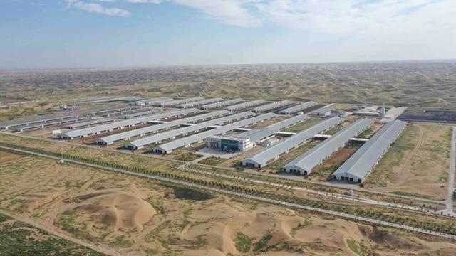 「稳经济·谋发展」武威：“百亿级”产业链已起航加速“犇”向新征程-武威的重点企业