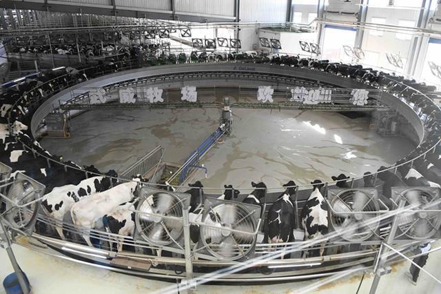 「稳经济·谋发展」武威：“百亿级”产业链已起航加速“犇”向新征程-武威的重点企业