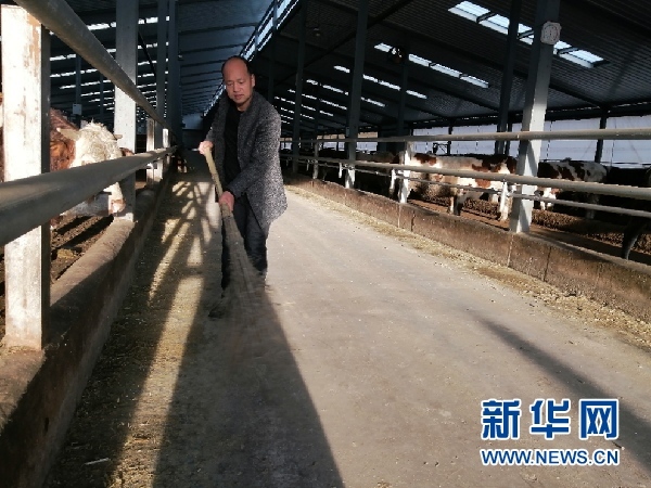 产业“链”起来 “平凉红牛”这样“犇”-平凉红牛集团老板是哪里人