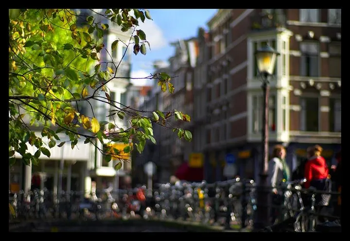 如何评价郑中基？-如何评价郑中基的一生