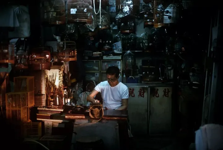 如何评价郑中基的摄影水平？-郑中基的摄影