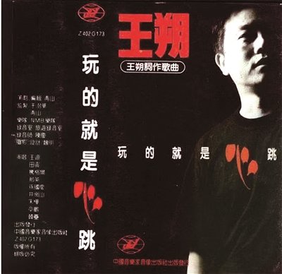 王朔，孤独的美食家曾是屠龙的少年-作家王朔语录