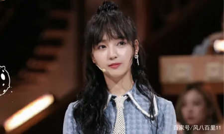 辰亦儒之后，田源、杨芸晴、秦牛正威，谁会是下一个离开的人？-辰亦儒的家世