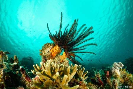 一起踏上寻找最美的旅游胜地TOP10，一定要去！的旅程吧！-旅游胜地美景图片