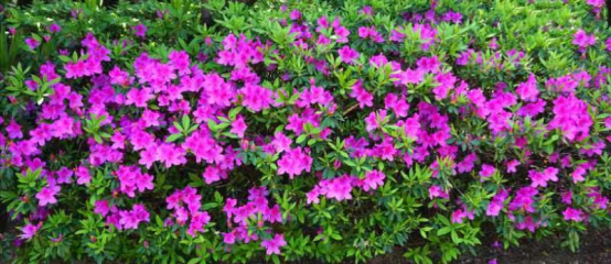 海博夜读丨拿得出手的价值观-什么叫拿得出手的男人