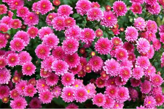 海博夜读丨拿得出手的价值观-什么叫拿得出手的男人