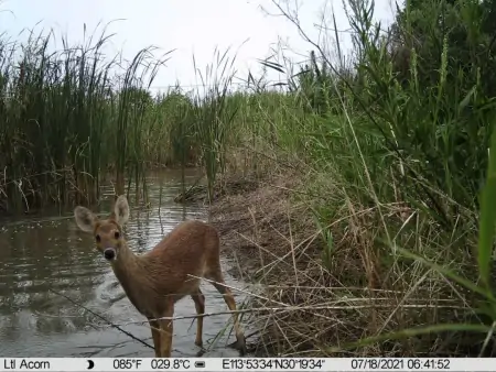 武汉这里，新发现739个物种！-武汉市发现