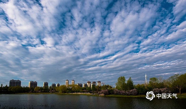 哈尔滨雨后蓝天白云 视野宽阔舒畅-哈尔滨天气下雨时间查询
