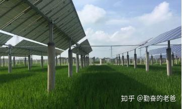 6月5日是什么日子 世界环境日是几月几日-6月5日是世界什么日子