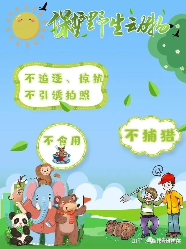 世界环境日-世界环境日海报图片