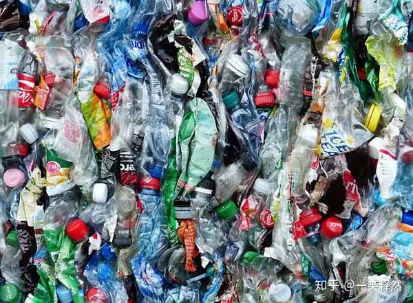 6.5世界环境日：“美丽中国，爱优特是行动者”-美丽中国爱护环境