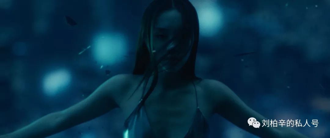 写给魔鬼鱼的诞生 《Manta》-魔鬼鱼MV下载