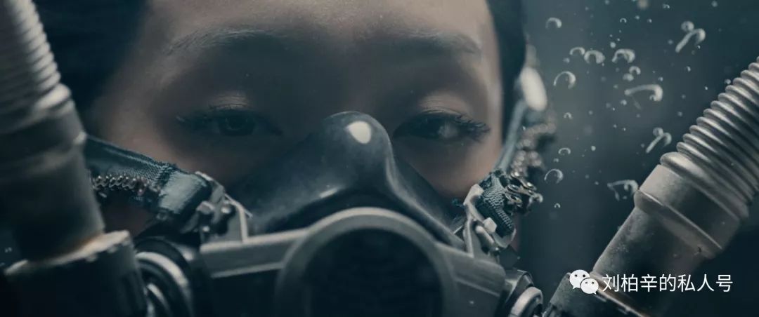 写给魔鬼鱼的诞生 《Manta》-魔鬼鱼MV下载