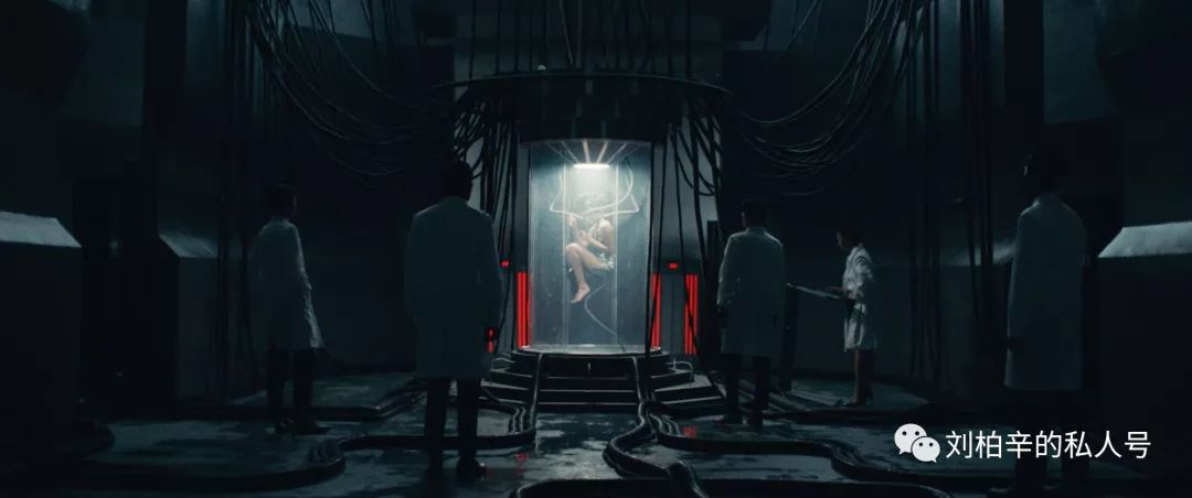 写给魔鬼鱼的诞生 《Manta》-魔鬼鱼MV下载