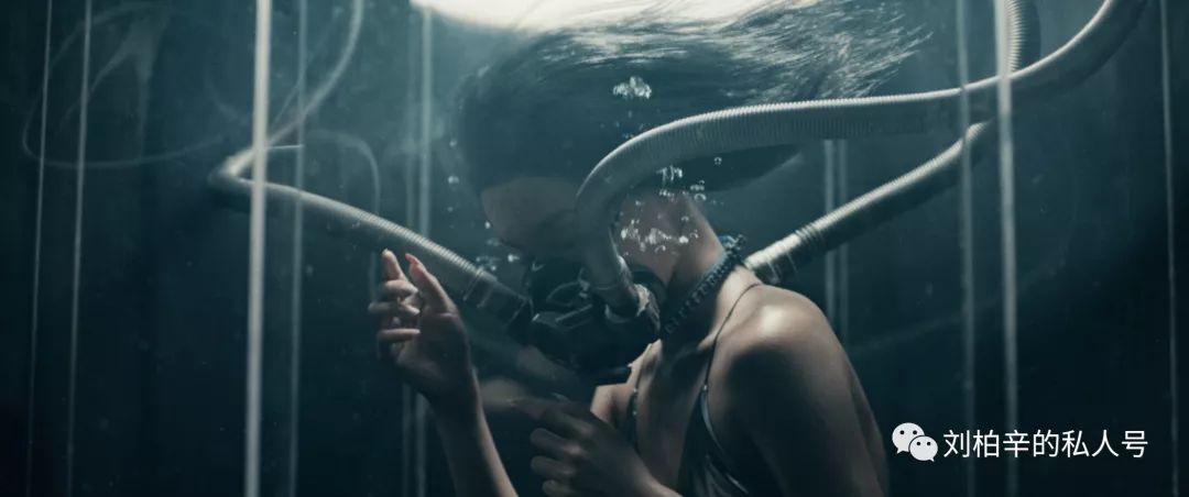 写给魔鬼鱼的诞生 《Manta》-魔鬼鱼MV下载