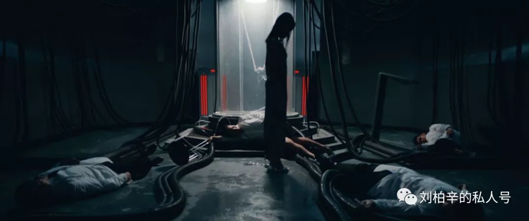 写给魔鬼鱼的诞生 《Manta》-魔鬼鱼MV下载