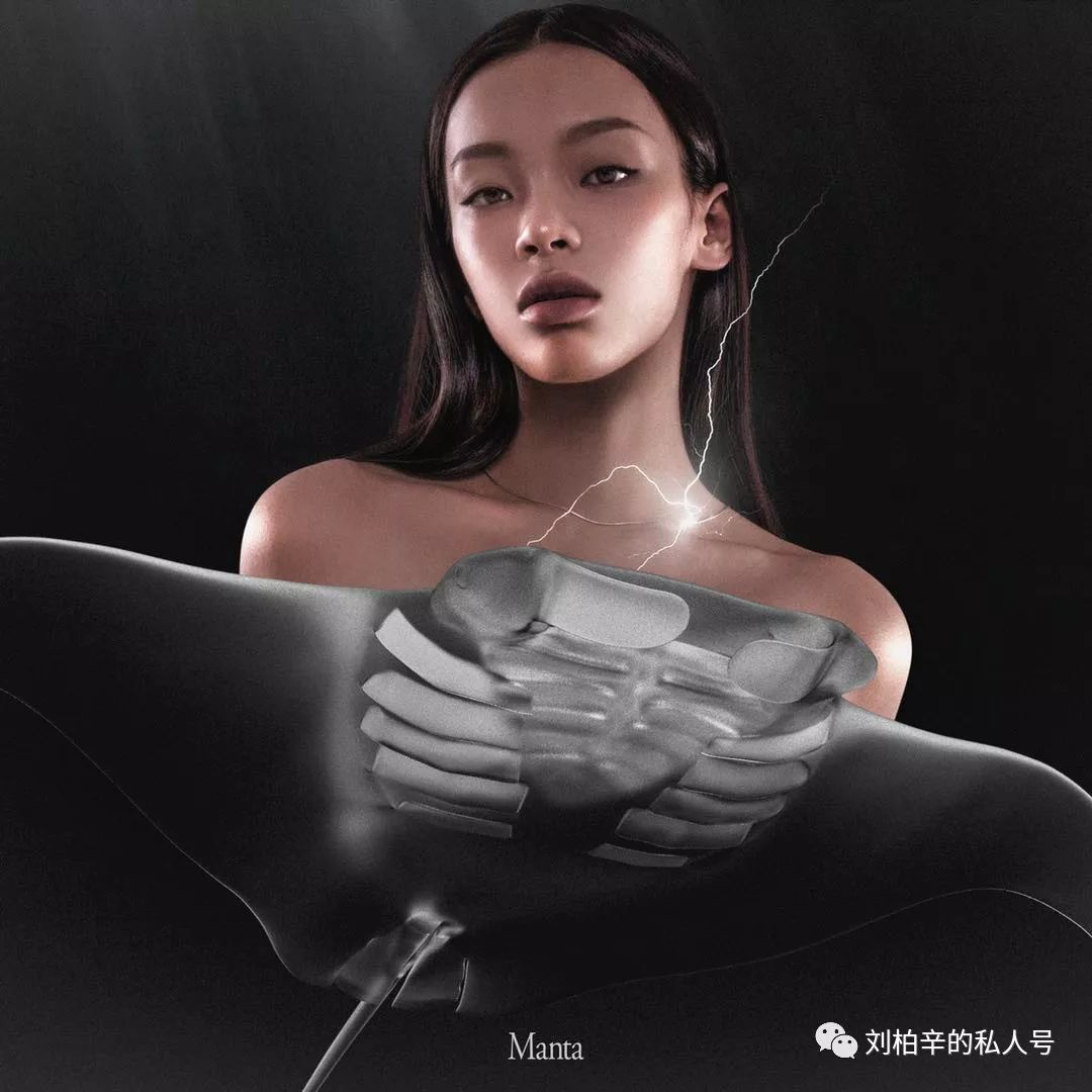 写给魔鬼鱼的诞生 《Manta》-魔鬼鱼MV下载