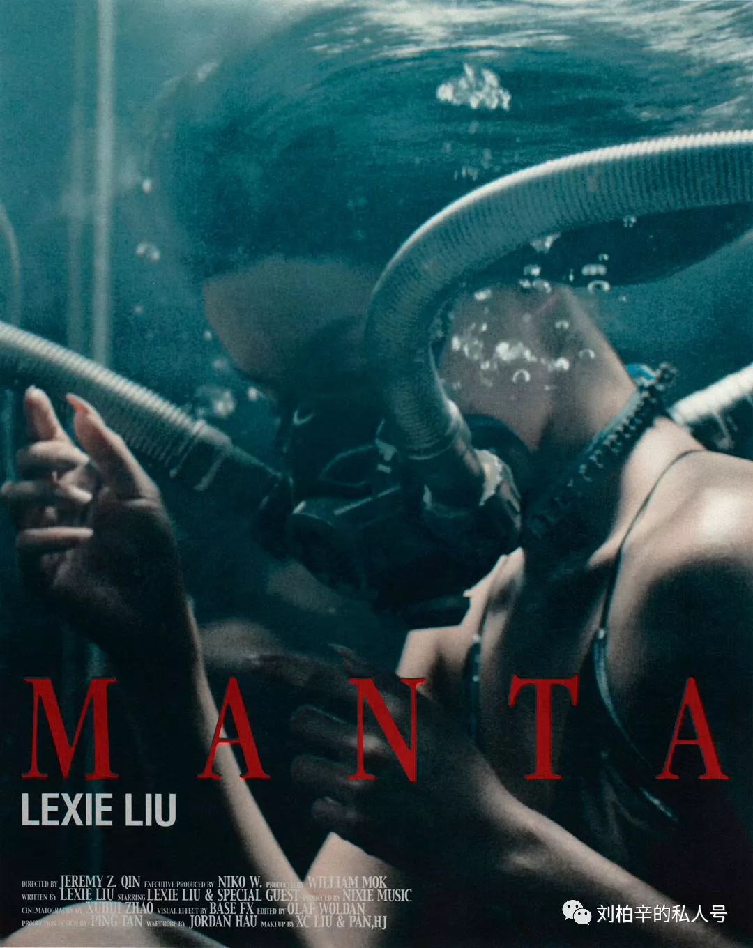 写给魔鬼鱼的诞生 《Manta》-魔鬼鱼MV下载