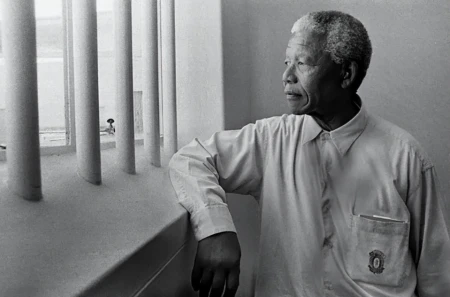 “曼德拉效应”真的存在？人类记忆疑似被删改，我们真是笼中鸟？-曼德拉效应电影高清网盘