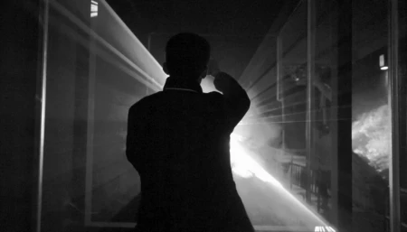 “曼德拉效应”真的存在？人类记忆疑似被删改，我们真是笼中鸟？-曼德拉效应电影高清网盘