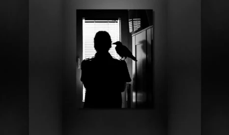 “曼德拉效应”真的存在？人类记忆疑似被删改，我们真是笼中鸟？-曼德拉效应电影高清网盘