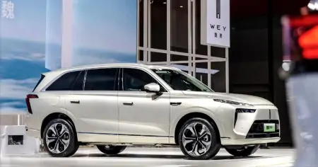 5天卖出1000辆！蓝山证明：魏牌卖不好不是因为名字！-蓝山涉及38人案件