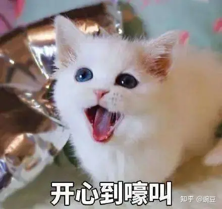 如何评价毛阿敏？-如何评价毛阿敏的歌曲