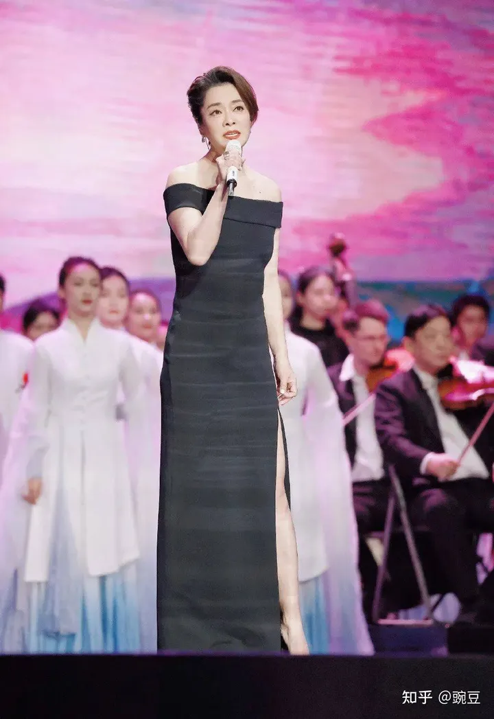 如何评价毛阿敏？-如何评价毛阿敏的歌曲