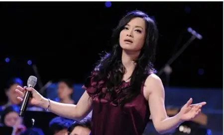 “国宝级歌手”毛阿敏，曾两次自杀未遂，40岁成250亿豪门阔太-毛阿敏专集