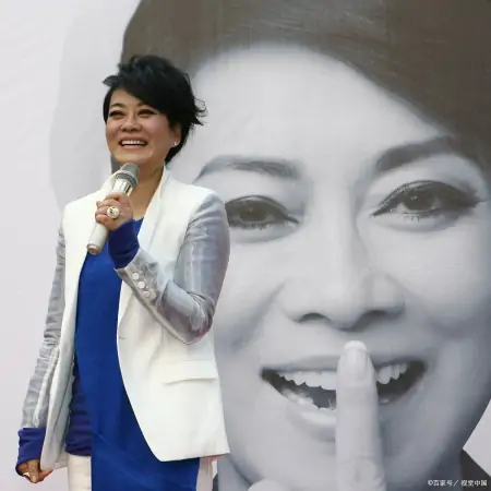 中年丧夫，亡夫留下260亿遗产无力接管的毛阿敏，如今怎么样？-毛阿敏的状况如何