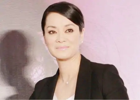 毛阿敏不再沉默，揭开丈夫遗产分配的真相，260亿为何全给了外人-毛阿敏丈夫谁