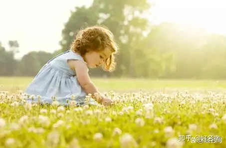 90个带“芷”字的女孩名字，朗朗上口，淑女范十足-带芷字好听的女孩名字大全四个字