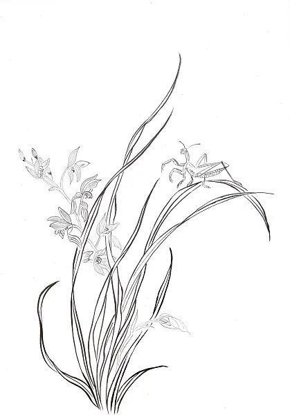 30个取自《楚辞》的人名，有韵且美-60个来自楚辞的经典好名字