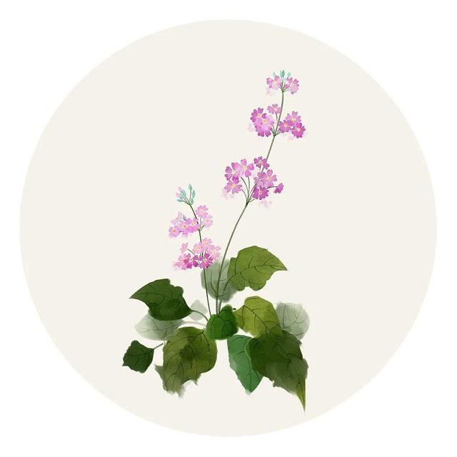 30个取自《楚辞》的人名，有韵且美-60个来自楚辞的经典好名字