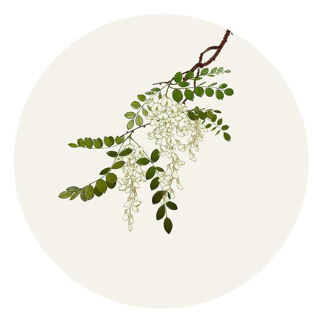 30个取自《楚辞》的人名，有韵且美-60个来自楚辞的经典好名字