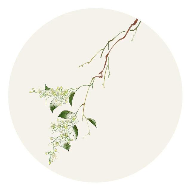 30个取自《楚辞》的人名，有韵且美-60个来自楚辞的经典好名字