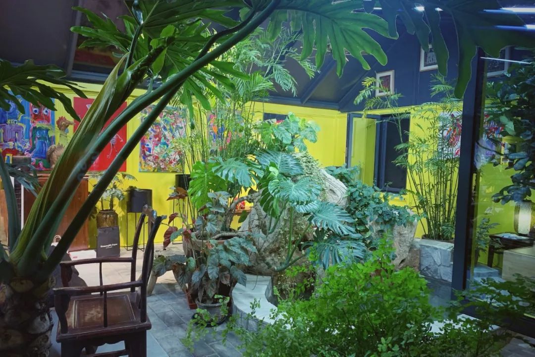 室内花园陶艺精品课 | 第二期开始报名！-陶艺室内布置与设计方案