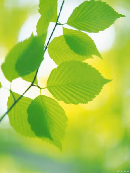 形容词构成-形容词构成法