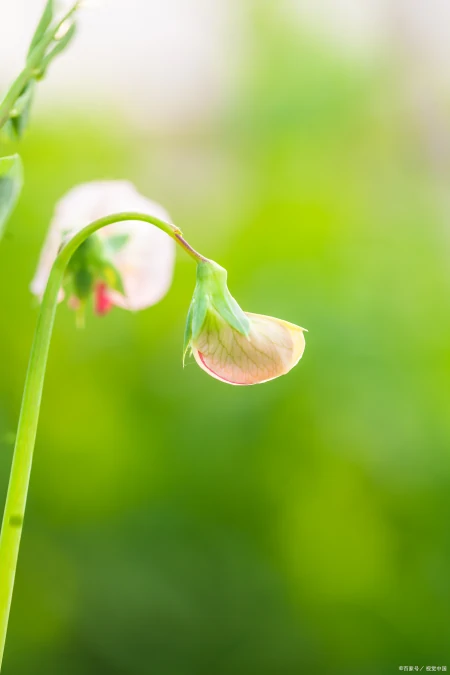 形容词构成-形容词构成法