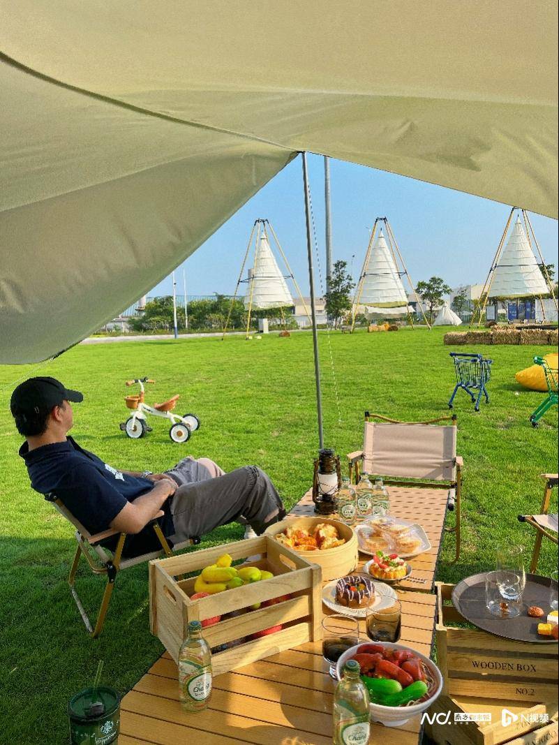 免费报名登深中通道！南都喊你来翠亨新区打卡-翠亨新区什么时候成立