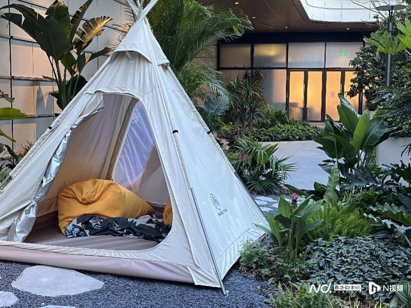 免费报名登深中通道！南都喊你来翠亨新区打卡-翠亨新区什么时候成立