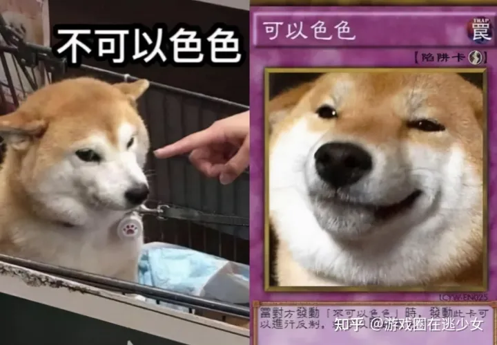 我买个丝袜还要看视频博主教我怎么穿吗？拍给男性观众看的丝袜测评，拒绝擦边球！-我买了丝袜什么意思