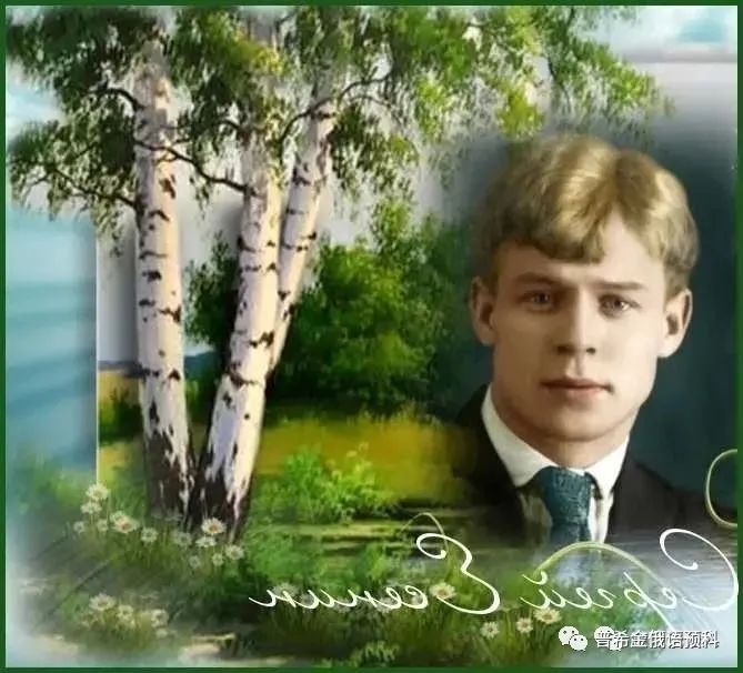 诗歌品鉴——著名俄罗斯诗人叶赛宁作品《小白桦》-叶赛宁写的白桦诗配画