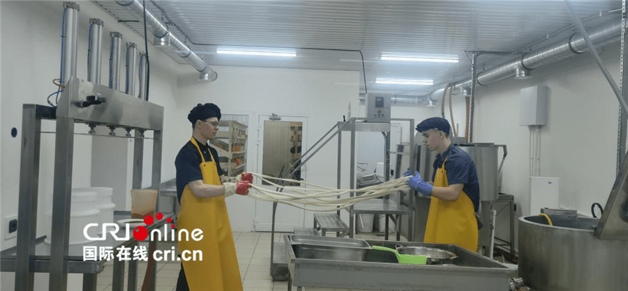 “普希金故乡行”融媒体报道（二）：普希金故乡企业期望与中方加强合作-普希金的生平与创作