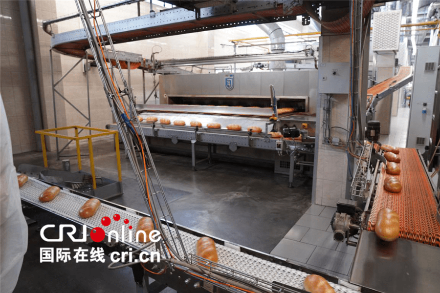 “普希金故乡行”融媒体报道（二）：普希金故乡企业期望与中方加强合作-普希金的生平与创作